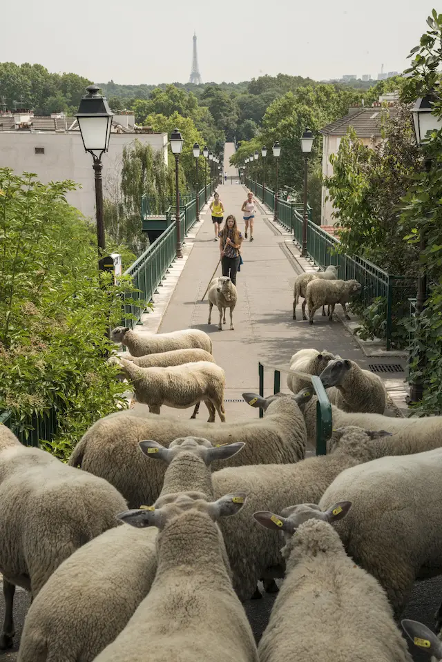 La passerelle de l'Avre à Saint-Cloud / © Jérômine Derigny