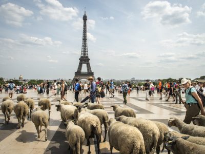 La parvis des Droits de l'Homme au Trocadéro / © Jérômine Derigny