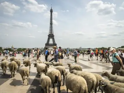 La parvis des Droits de l'Homme au Trocadéro / © Jérômine Derigny