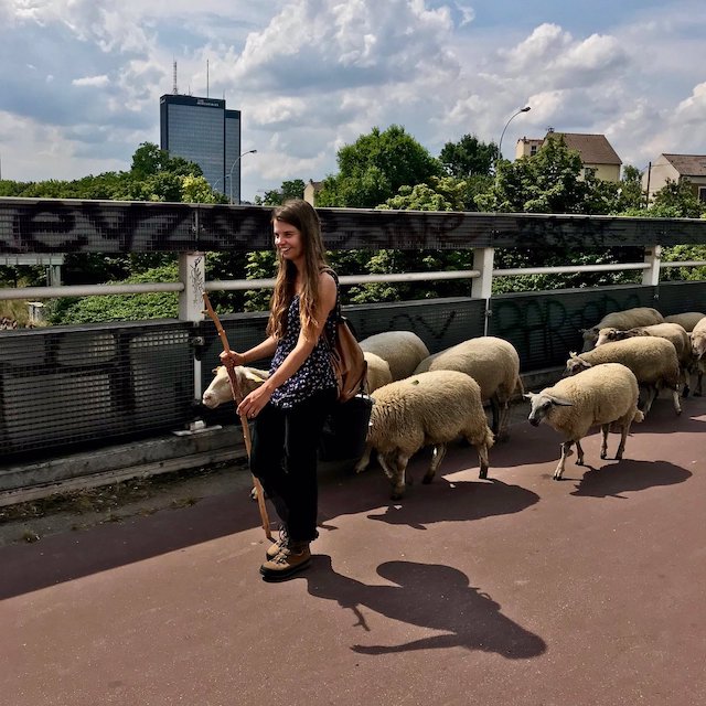 La Transhumance du Grand Paris lors de la 2e étape le 7 juillet entre La Villette et Montreuil / © Vianney Delourme pour Enlarge your Paris