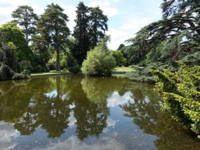 Le parc de Saint-Cloud, 120ha plus grand que Central Park / © Guilhem Vellut (Creative commons - Flickr)