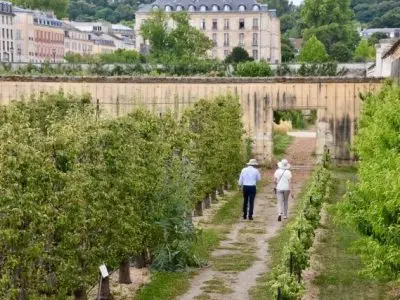 Le Potager du Roi à Versailles / © Département des Yvelines (Creative commons - Flickr)