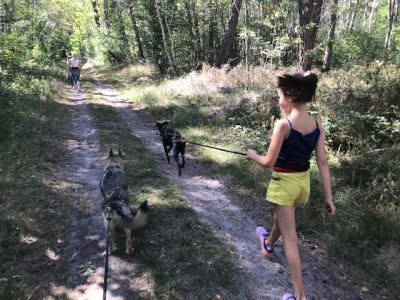 Cani-rando en forêt de Fontainebleau / © Steve Stillman pour Enlarge your Paris