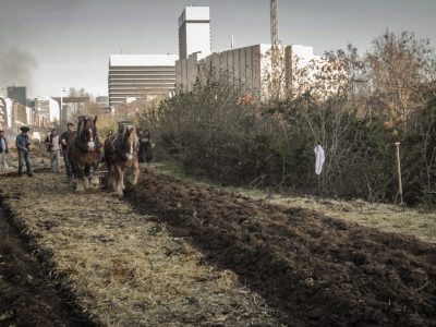 Travaux des champs à la Ferme du bonheur à Nanterre / © Justine Bourgade
