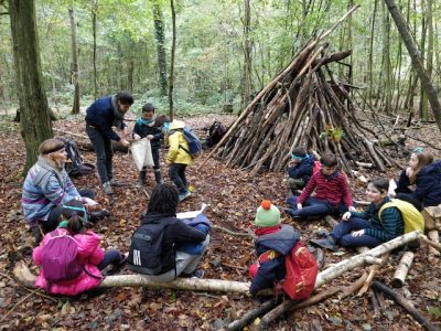 Sortie en forêt organisée par Les Décliques / © Les Décliques