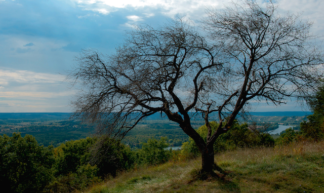 Espace naturel de La Roche-Guyon dans le Val-d'Oise / © AEV / Fabien Chenel - L'Agence Nature