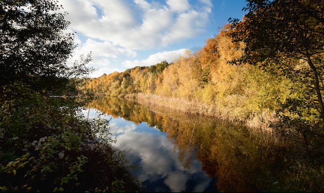 La forêt de Bondy / © AEV - Jean-François Hellio et Nicolas Van Ingen
