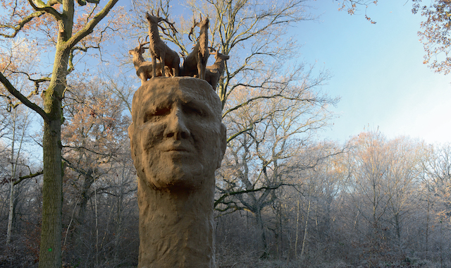 La forêt de Rougeau en Essonne et en Seine-et-Marne / © AEV - Sylvain Legrand