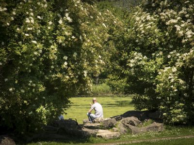 Le parc Georges-Valbon à La Courneuve en Seine-Saint-Denis / © Jérômine Dérigny pour Enlarge your ParisStade de France au Bourget. Parc Georges Valbon