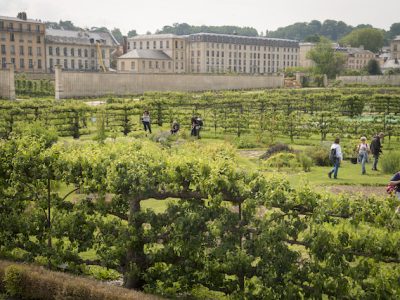 Le Potager du Roi à Versailles / © Jérômine Dérigny pour Enlarge your Paris