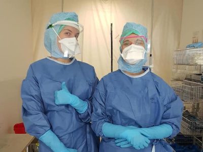 Des personnels soignants portant les visières de protection fabriquées par les makers / DR
