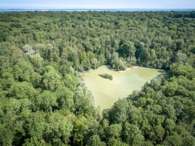 Lac Bleu dans la forêt de Carnelle dans le parc naturel Oise - Pays de France / © PNR Oise - Pays de France