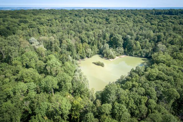 Lac Bleu dans la forêt de Carnelle dans le parc naturel Oise - Pays de France / © PNR Oise - Pays de France