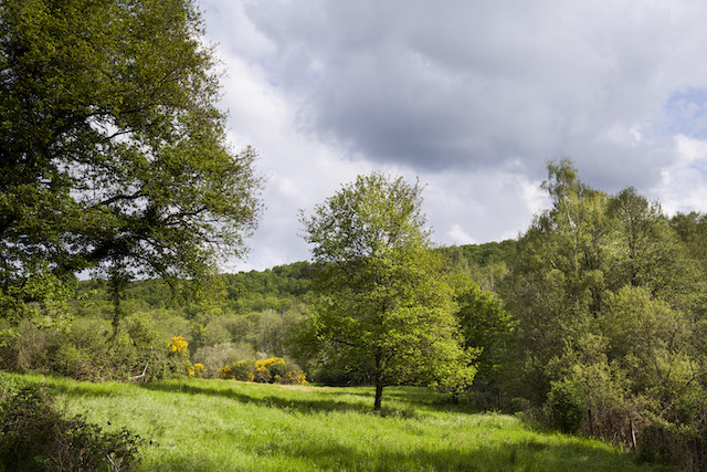 Le parc naturel de la Haute Vallée de Chevreuse / © PNR de la Haute Vallée de Chevreuse