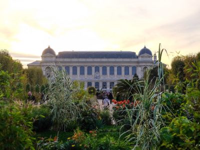 Le Jardin des Plantes à Paris / © Julien Chatelain (Creative commons - Flickr)
