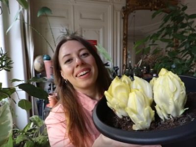 Sur sa chaîne YouTube, la green guerrillera Ophélie Ta Mère Nature vous apprend à faire pousser des endives dans votre placard / DR