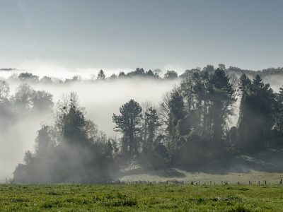 Matin brumeux sur le parc naturel du Vexin / © Vyclem 78 (Creative commons - Flickr)