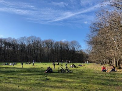Le bois de Clamart dans les Hauts-de-Seine le 16 à la veille du confinement / © Steve Stillman pour Enlarge your Paris