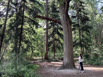 Le bois de Verneuil dans les Yvelines / © Manon Gayet pour Enlarge your Paris