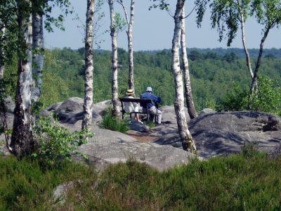 La forêt de Fontainebleau en Île-de-France / © ONF