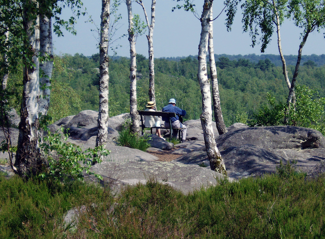 La forêt de Fontainebleau en Île-de-France / © ONF