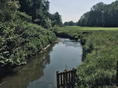 L'Yvette dans le parc naturel de la Haute vallée de Chevreuse / © Vianney Delourme pour Enlarge your Paris