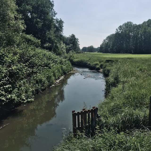 L'Yvette dans le parc naturel de la Haute vallée de Chevreuse / © Vianney Delourme pour Enlarge your Paris