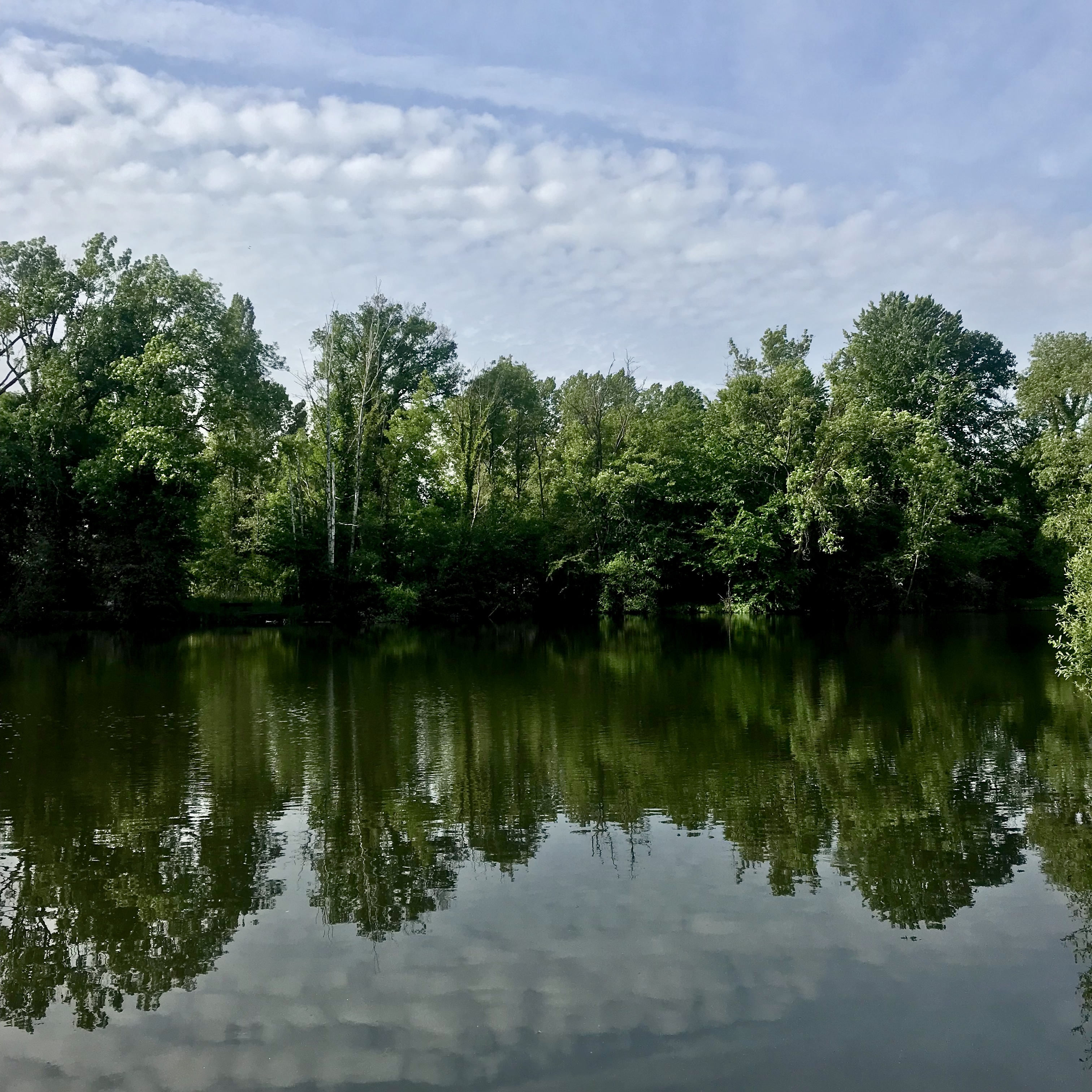 Les marais de l'Essonne (91). Vianney Delourme pour Enlarge your Paris
