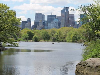 Central Park à New York / © Elias Rovielo (Creative commons - Flickr)