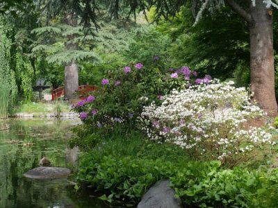 Le Jardin Albert Kahn à Boulogne-Billancourt / © Jardin Albert Kahn