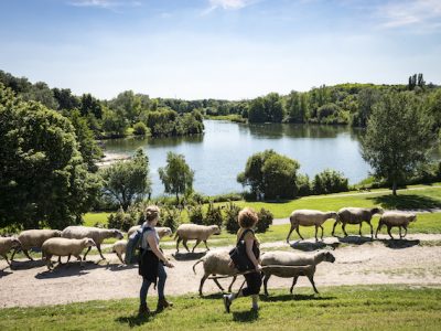 Les bergers urbains de l'association Clinamen dans le parc de La Courneuve / © Jérômine Derigny pour Enlarge your Paris