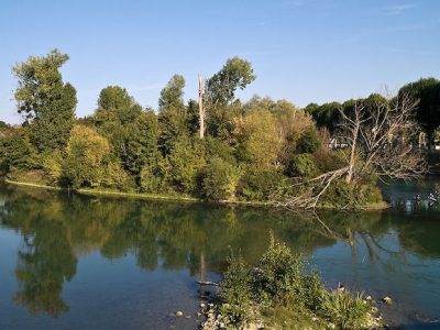 L'île Refuge à Chelles sera au menu de la balade 