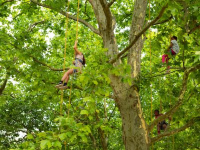 Séance d'accrobranche au parc La Courneuve / © Conseil départemental de Seine-Saint-Denis
