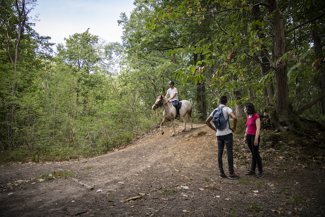 Jour 4. Allée cavalière dans le Parc naturel de la Haute Vallée de Chevreuse, le long de la ligne 18 / © Jéromine Derigny pour Enlarge your Paris