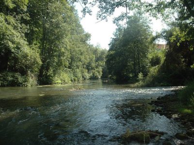 La rivière du Grand Morin dans le futur Parc naturel de la Brie et des deux Morin en Seine-et-Marne / © Gilles Raimbault (Creative commons - Flickr)