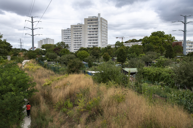 Jour 6. Les jardins ouvriers de Thiais le long du tracé de la Ligne 14 sud / © Jérômine Derigny pour Enlarge your Paris