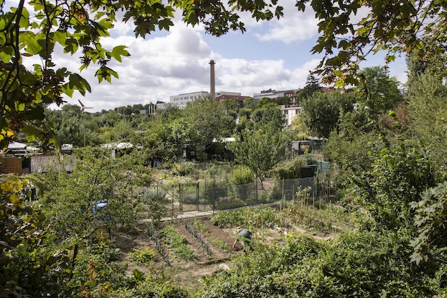 Jour 8. Jardins ouvriers à Créteil en bord de Marne /  © Jérômine Derigny pour Enlarge your Paris
