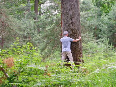 Bain de forêt en forêt de Fontainebleau / © Solenn Cordroc'h pour Enlarge your Paris