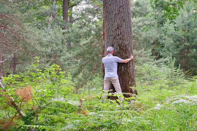 Bain de forêt en forêt de Fontainebleau / © Solenn Cordroc'h pour Enlarge your Paris