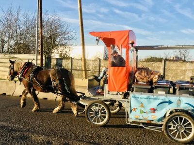 A Stains en Seine-Saint-Denis, les Alchimistes assurent une collecte des déchets alimentaires à l'aide d'un cheval / © Vianney Delourme pour Enlarge your Paris