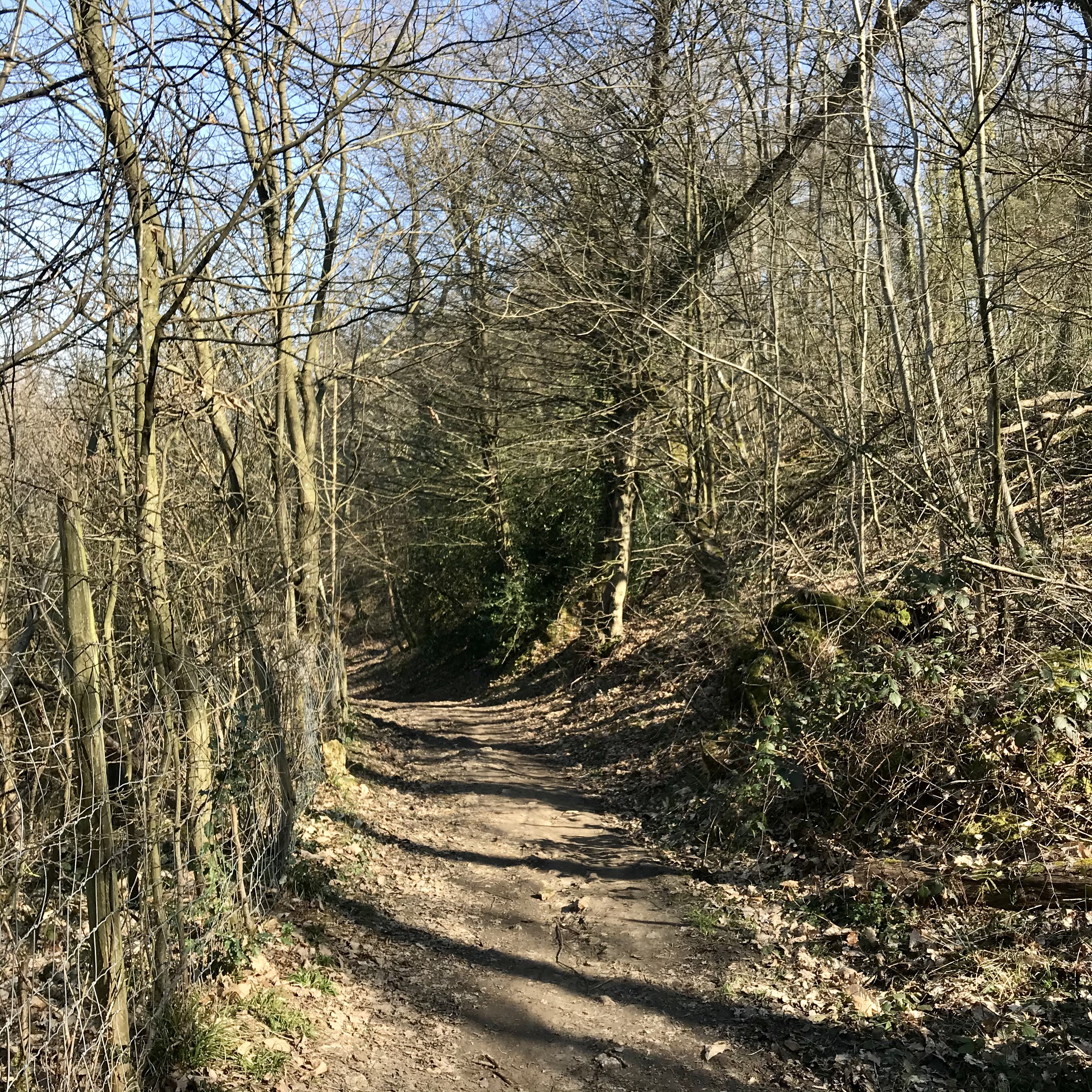 Chemin rural, Parc des Côtes Montbron près du Trou salé. Vianney Delourme pour Enlarge your Paris
