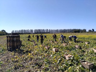 Les Vergers de Cossigny en Seine-et-Marne, ferme bio tenue par Jacques Frings, président du Groupement des agriculteurs biologiques d’Île-de-France / © Les Vergers de Cossigny