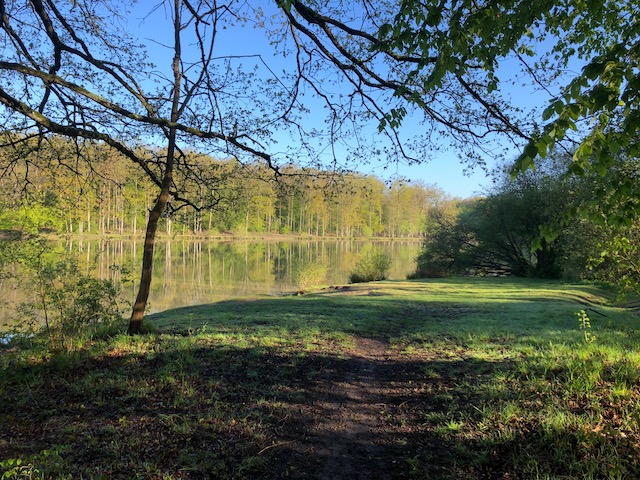 L'étang d'or en forêt de Rambouillet autour duquel sont dissimulées plusieurs géocaches / © Steve Stillman pour Enlarge your Paris
