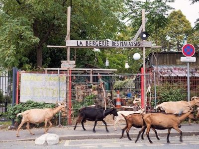 La bergerie des Malassis à Bagnolet / © Sylvie Biscioni