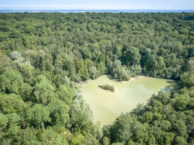 Le lac Bleu dans la forêt de Carnelle dans le Parc naturel Oise - Pays de France dans le Val-d'Oise / © PNR Oise - Pays de France