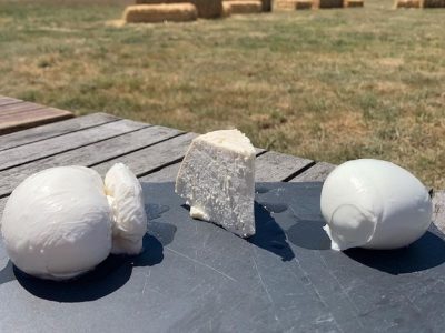 La ricotta (au centre) et la mozzarella de la Ferme des 4 Etoiles dans les Yvelines qui s'est classée 3e meilleure mozzarella artisanale de France en avril / © La Ferme des 4 Etoiles