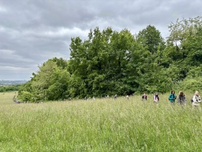 Le mont Guichet, un espace naturel reconquis par Île-de-France Nature / © Vianney Delourme pour Enlarge your Paris