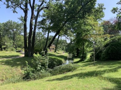 Le bois de Boulogne à Paris / © Manon Gayet pour Enlarge your Paris
