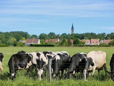 Le village de la Boissière-Ecole dans le Parc naturel de la Haute Vallée de Chevreuse dans les Yvelines / © Nicolas DUPREY - CD 78