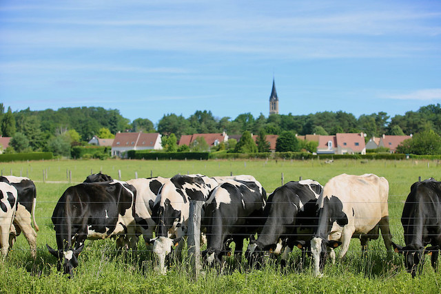 Le village de la Boissière-Ecole dans le Parc naturel de la Haute Vallée de Chevreuse dans les Yvelines / © Nicolas DUPREY - CD 78